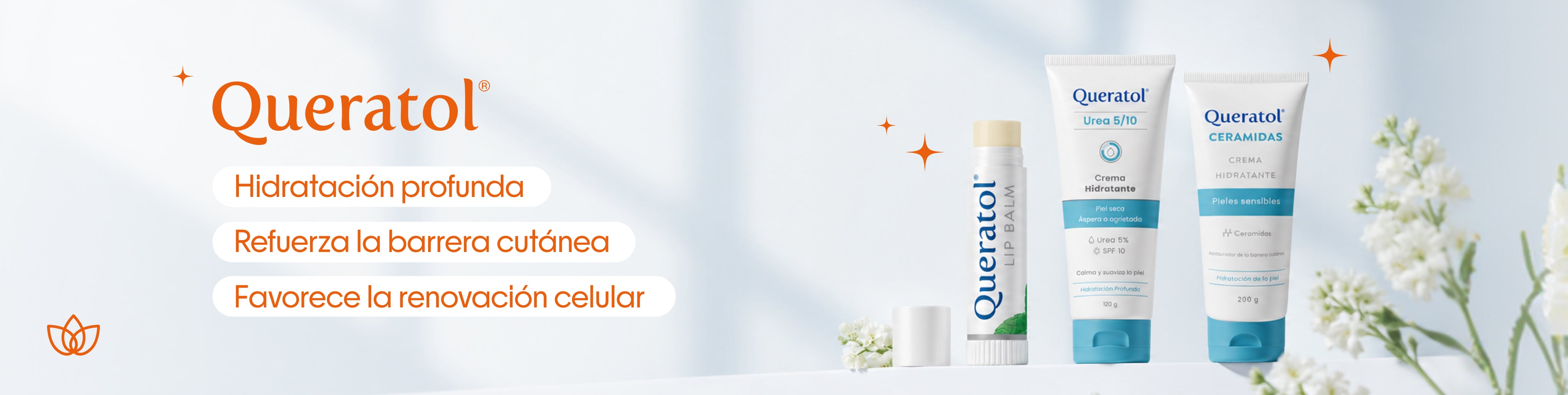 collection-banner-image-2